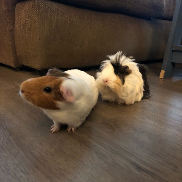 About Me! - Picture 3 of 6